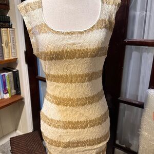Potter's Pot Gold and Cream Striped Lace Mini Dress